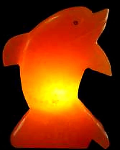 Dolphin