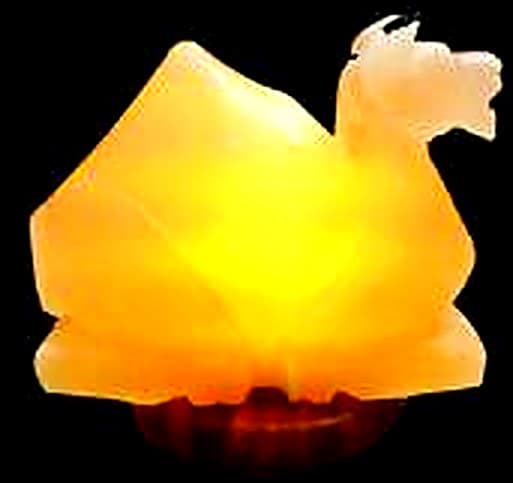 Camel
