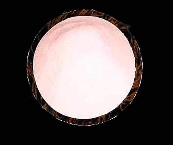 Powder