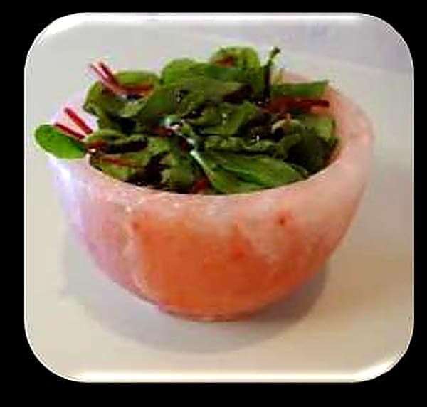 Shallow Bowl 8 × 8 × 4″