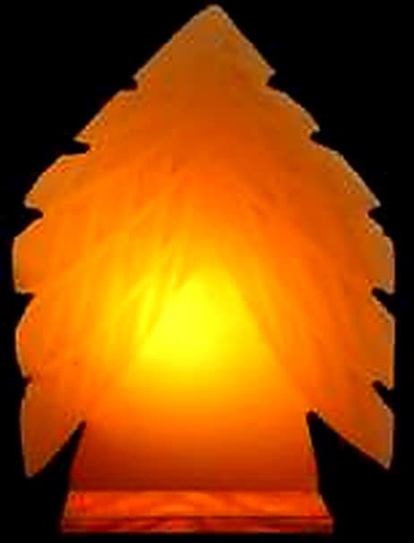 Pine Tree