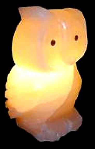 Owl