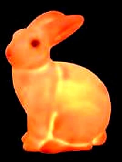 Rabbit