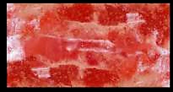 Brick 1 × 4 × 8″ — Both Sides Plain